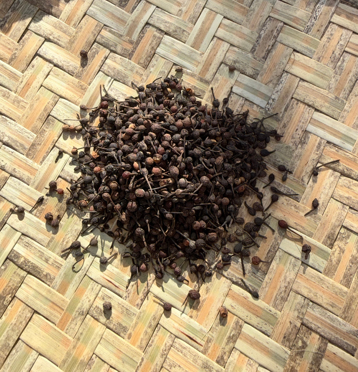 Poivre sauvage de Madagascar (Voatsiperifery)
