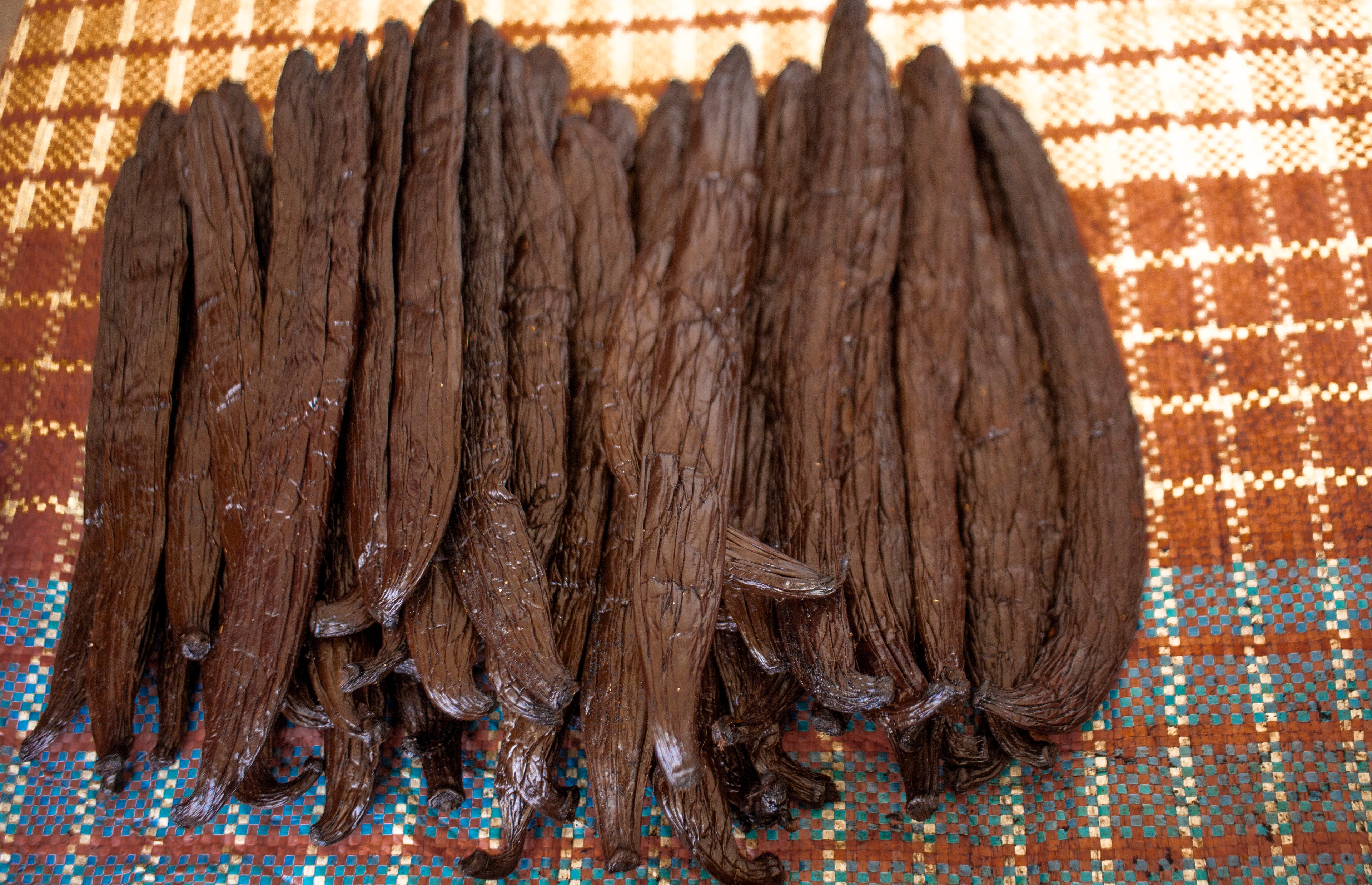 Gousses de vanille Pompona