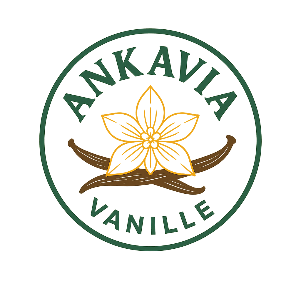 ankavia logo