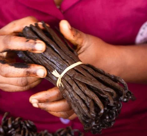 Premium Vanilla Beans
